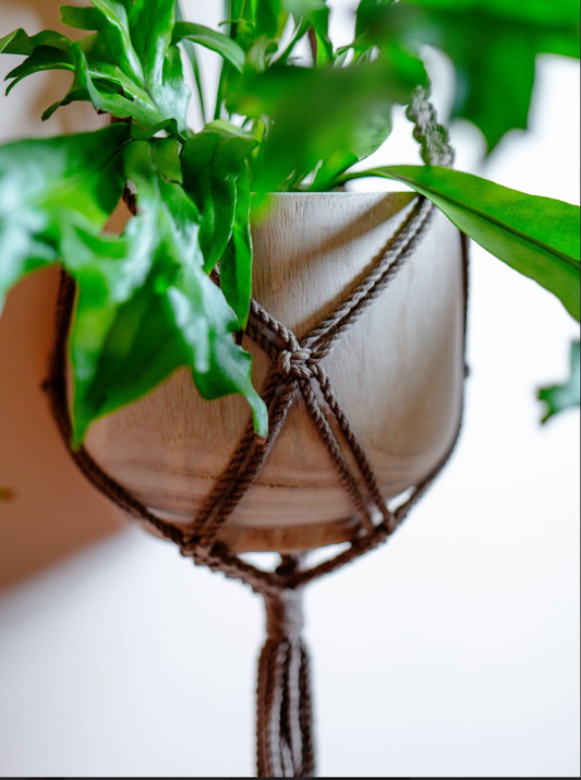 Macrame Plant Hanger ~ Brown