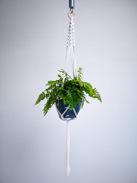 Macrame Plant Hanger ~ White