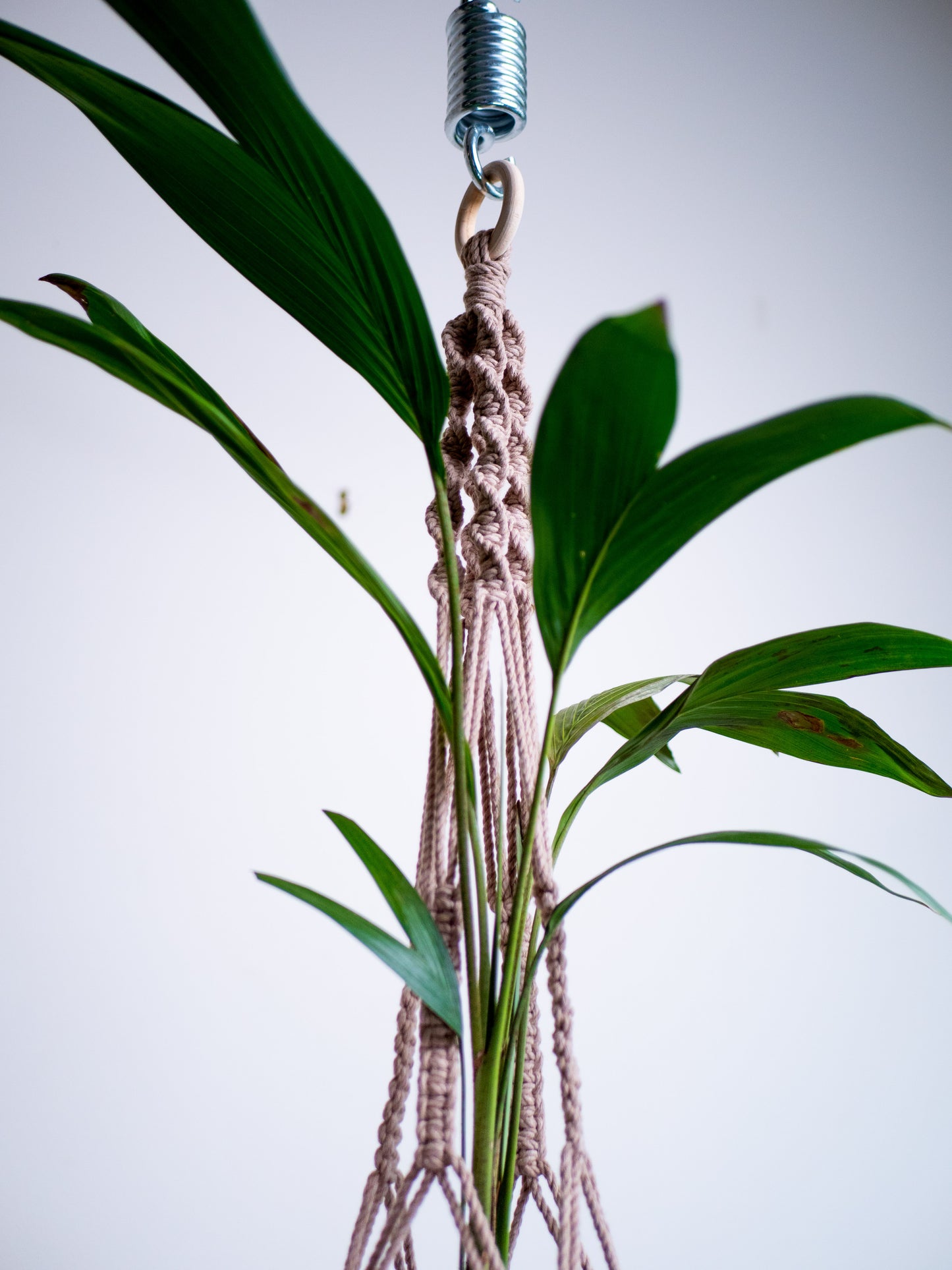 Macrame Plant Hanger Long Tan