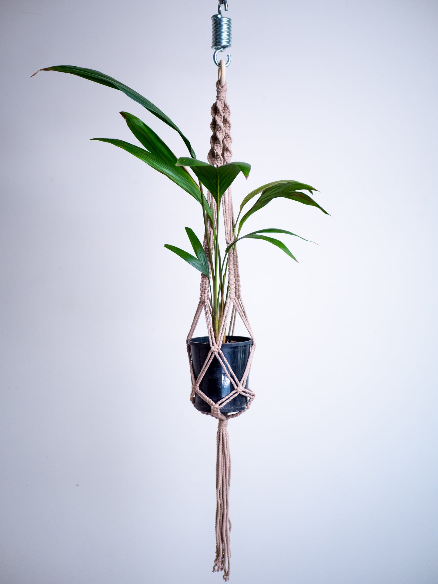 Macrame Plant Hanger Long Tan